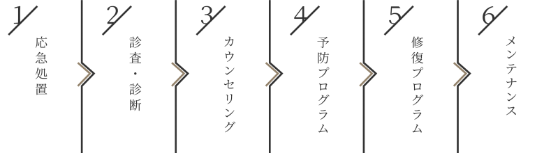 アセット 13
